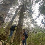 Pamela Cárcamo Miranda