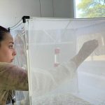 Pamela Cárcamo Miranda